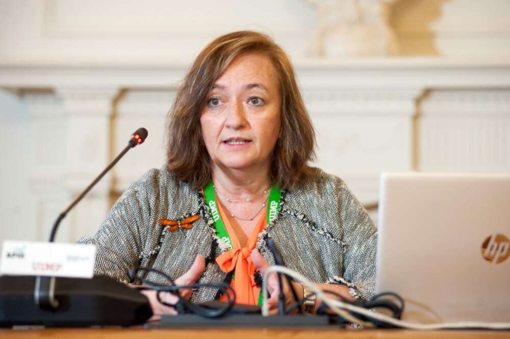 La presidenta de la AIREF, Cristina Herrero, en los Cursos de Verano de la UIMP. / APIE