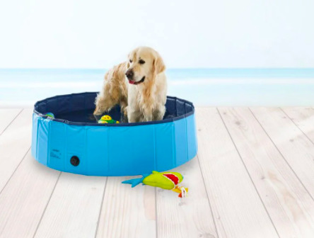 piscina perros Lidl