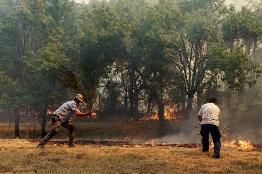 Incendio de Ávila: el PP sigue la estrategia de Almeida con Filomena para blindar las ayudas. // EFE