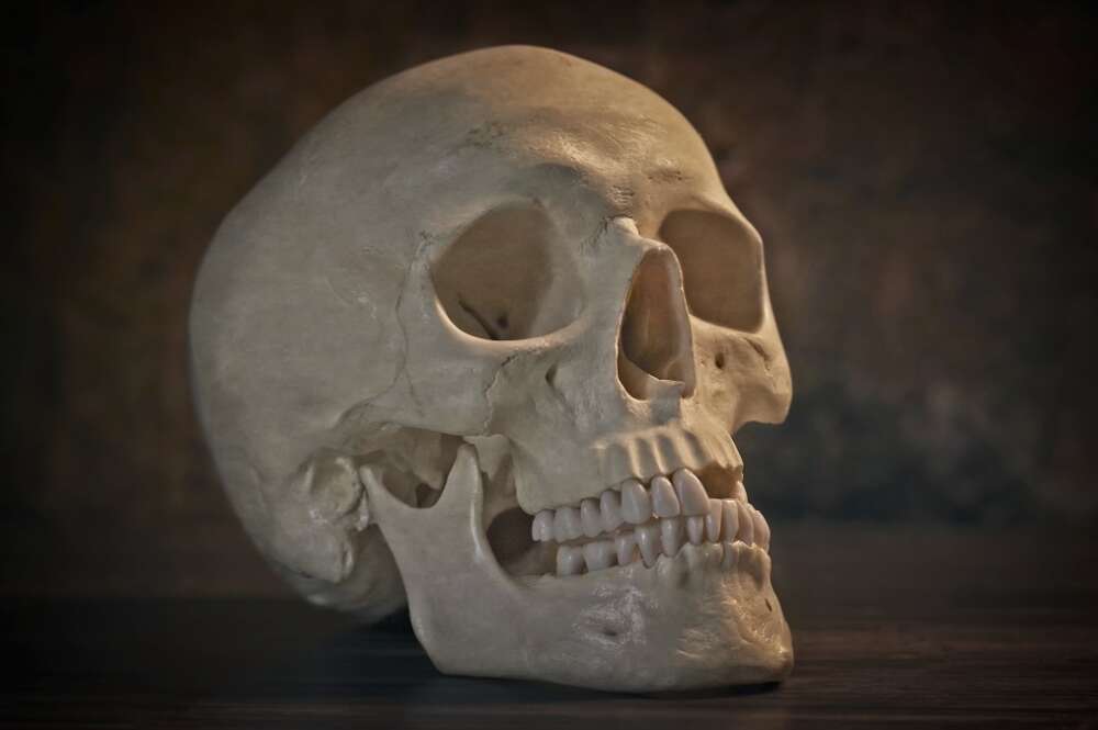 Calavera decoración Halloween