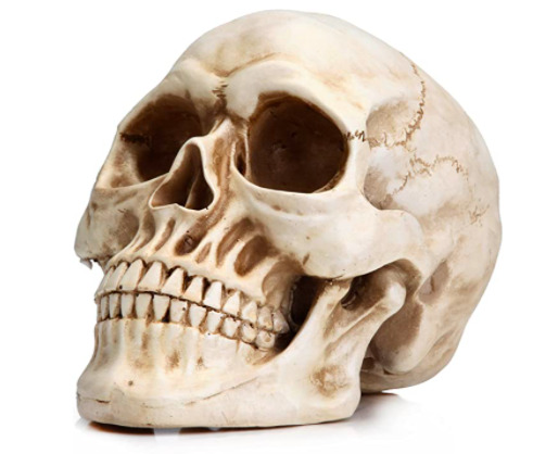 La Readaeer Calavera Resina Decoración de Halloween Cráneo Humano Modelo que arrasa en Amazon