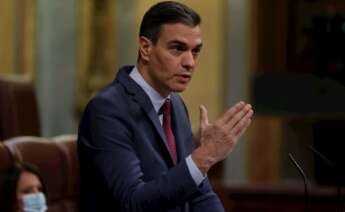 Pedro Sánchez en el Congreso. EFEPedro Sánchez en el Congreso. EFE