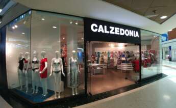 calzedonia