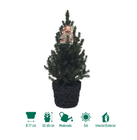 El árbol de Navidad que venden en Aldi por 9,99 euros
