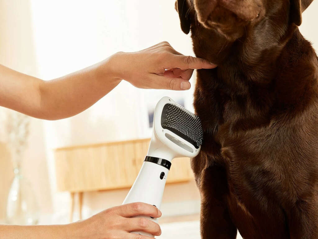 Lidl tiene a la venta un cepillo secador para mascotas que te ...