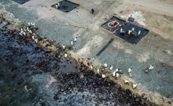 Repsol limpia las 28 playas afectadas en Perú