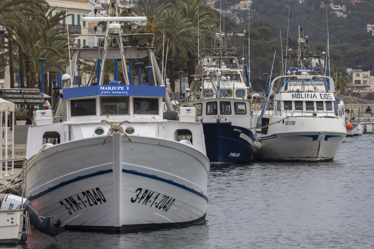 Barcos de pesca amarrados. EFE/CATI CLADERA