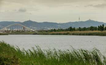 Río Llobregat