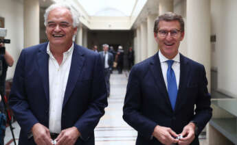 El presidente del Partido Popular, Alberto Núñez Feijóo, y el eurodiputado Esteban González Pons, en los pasillos del Senado. EFE/Miguel Osés