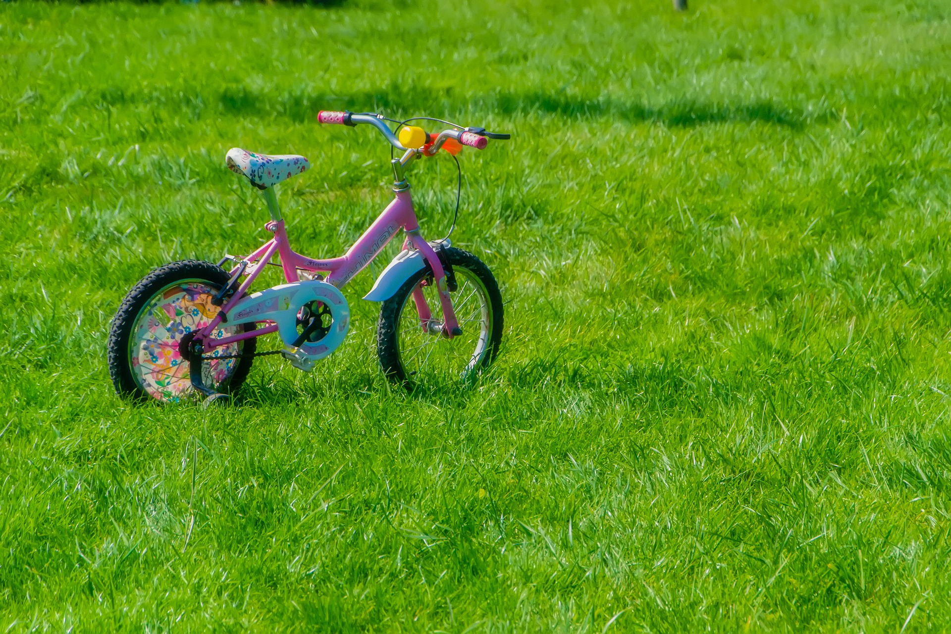 Chicco Bicicleta sin Pedales First Bike para Niños de 2 a 5 Años hasta 25  Kg, Bici para Aprender a Mantener el Equilibrio con Manillar y Sillín