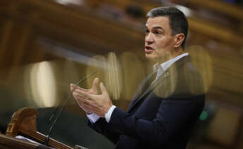 El presidente del Gobierno, Pedro Sánchez, en una comparecencia en el Congreso de los Diputados el pasado 13 de octubre. EFE/ Javier Lizón.