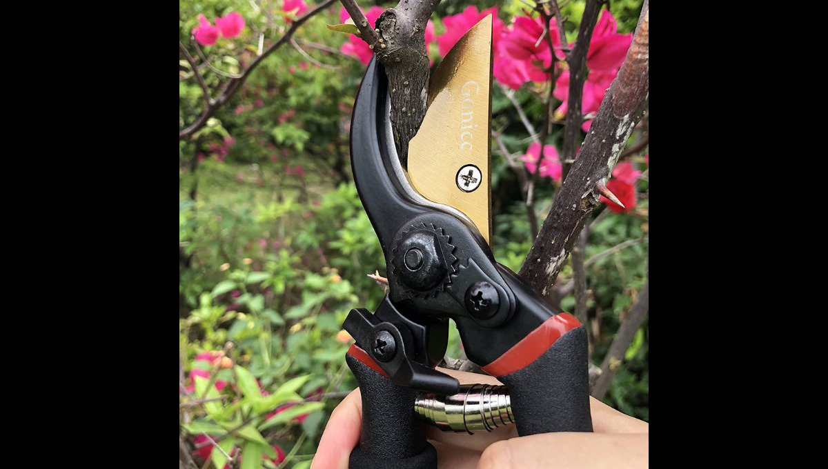 Estas son las mejores herramientas de mano para jardinería thumbnail