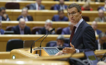 El líder del Partido Popular, Alberto Núñez Feijóo, durante el pleno celebrado el lunes pasado en el Senado. EFE/ Javier Lizón.