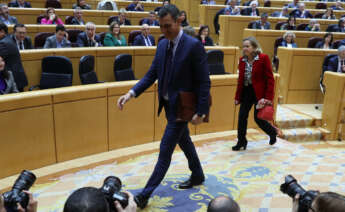El presidente del Gobierno, Pedro Sánchez (c), durante el pleno del Senado, este miércoles en Madrid . EFE/ Kiko Huesca