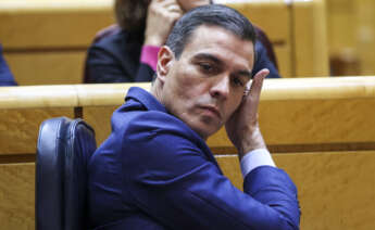 El presidente del Gobierno, Pedro Sánchez durante el pleno del Senado. EFE/ Kiko Huesca