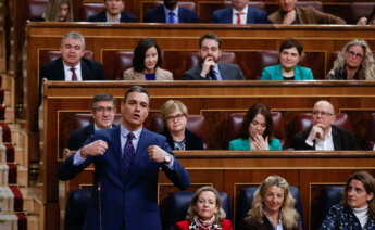 El presidente del Gobierno, Pedro Sánchez, interviene durante la sesión de control celebrada, este miércoles, en el Congreso de los Diputados. EFE/ Juan Carlos Hidalgo