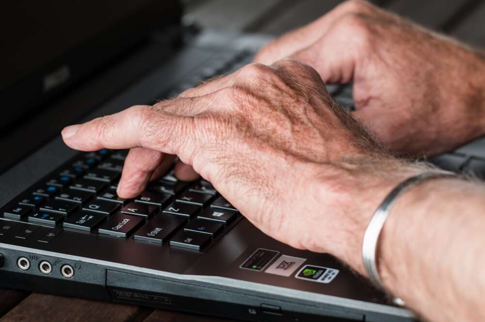 Una persona hace un trámite a través del ordenador. Foto: Pixabay.