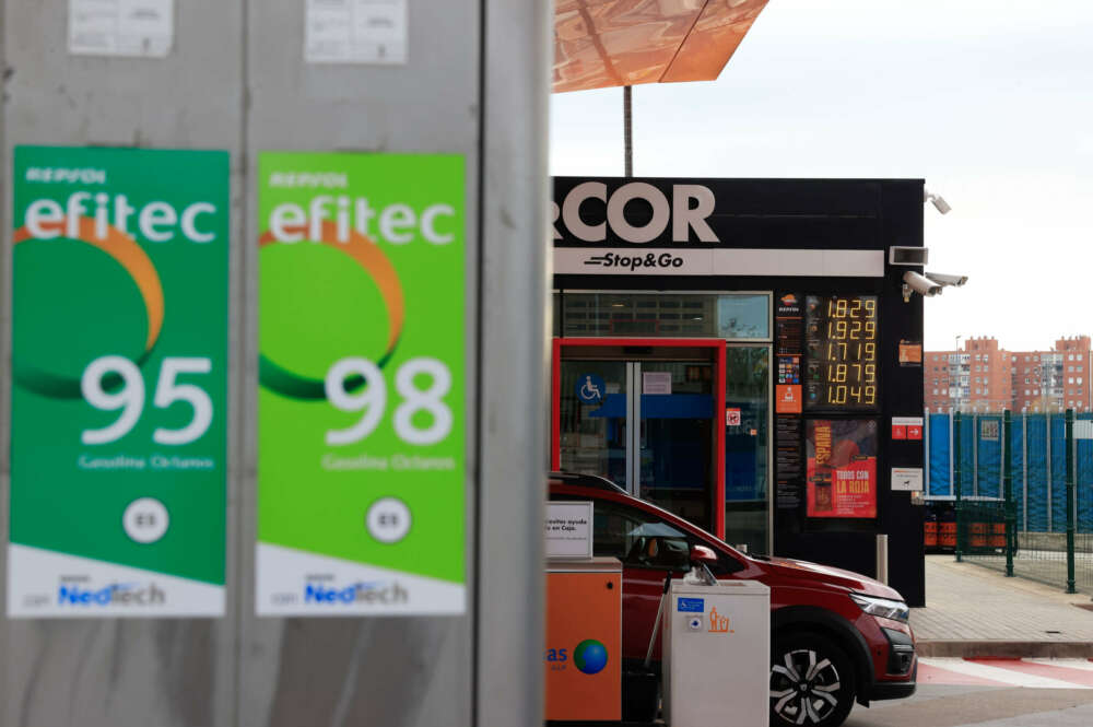 Surtidores de una gasolinera. EFE/ Zipi