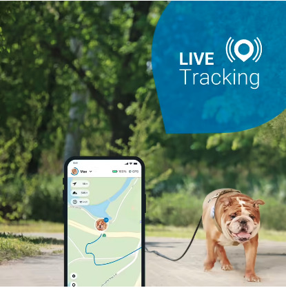 localizador para perros Decathlon