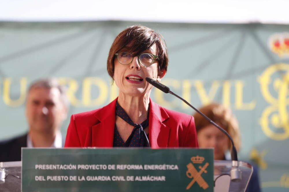 La directora general de la Guardia Civil, María Gámez. EFE.