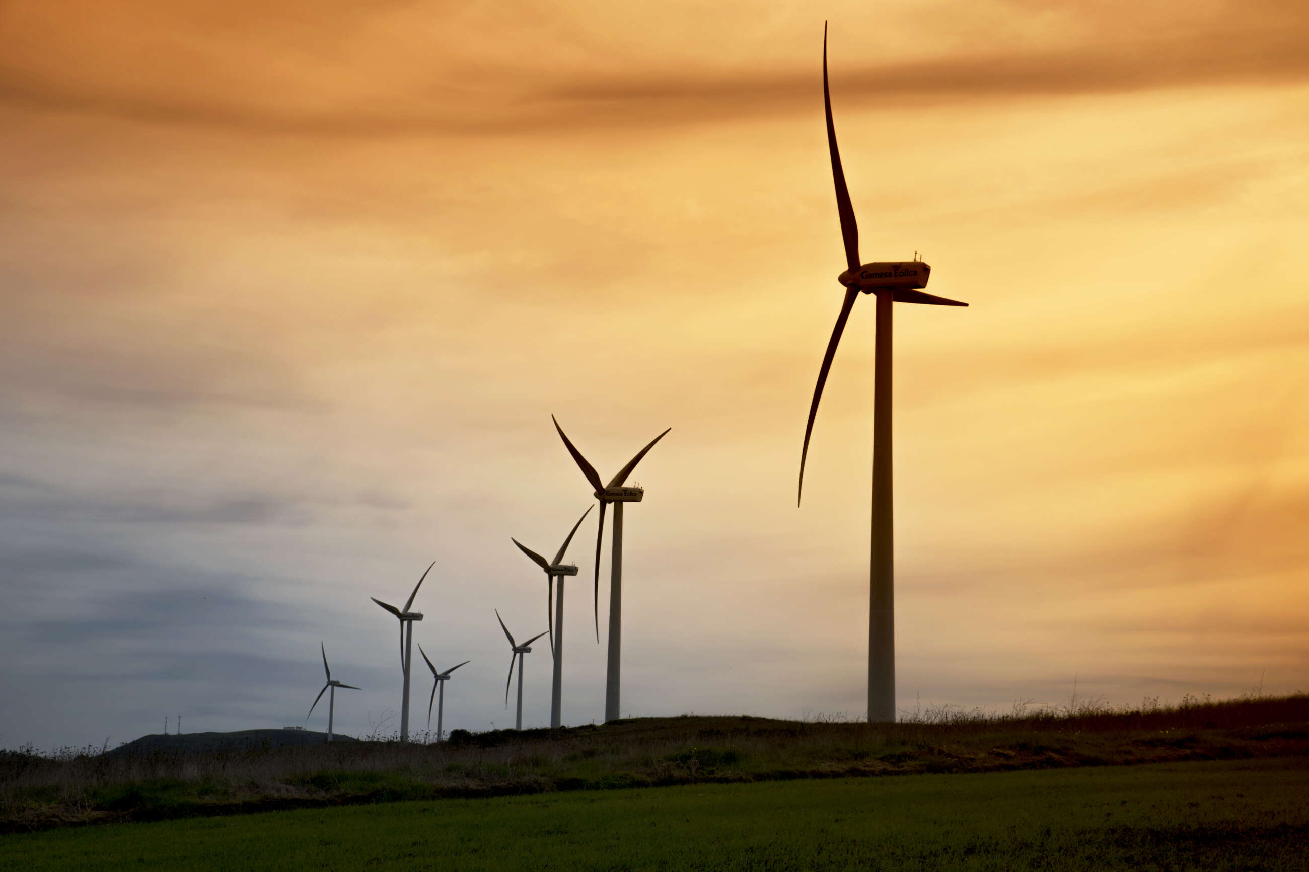 Un parque eólico de Iberdrola. Foto: Iberdrola.