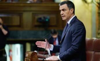 El presidente del Gobierno, Pedro Sánchez, en una intervención en el Congreso. EFE/Chema Moya