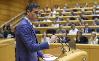 MADRID, 25/04/2023.- El presidente del Gobierno, Pedro Sánchez, en el pleno del Senado durante su comparecencia, la quinta monográfica de la legislatura, este martes en Madrid. EFE/ Kiko Huesca