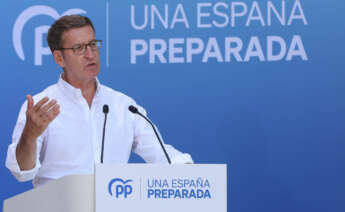 El líder del Partido Popular, Alberto Núñez Feijóo. EFE/J.M. García