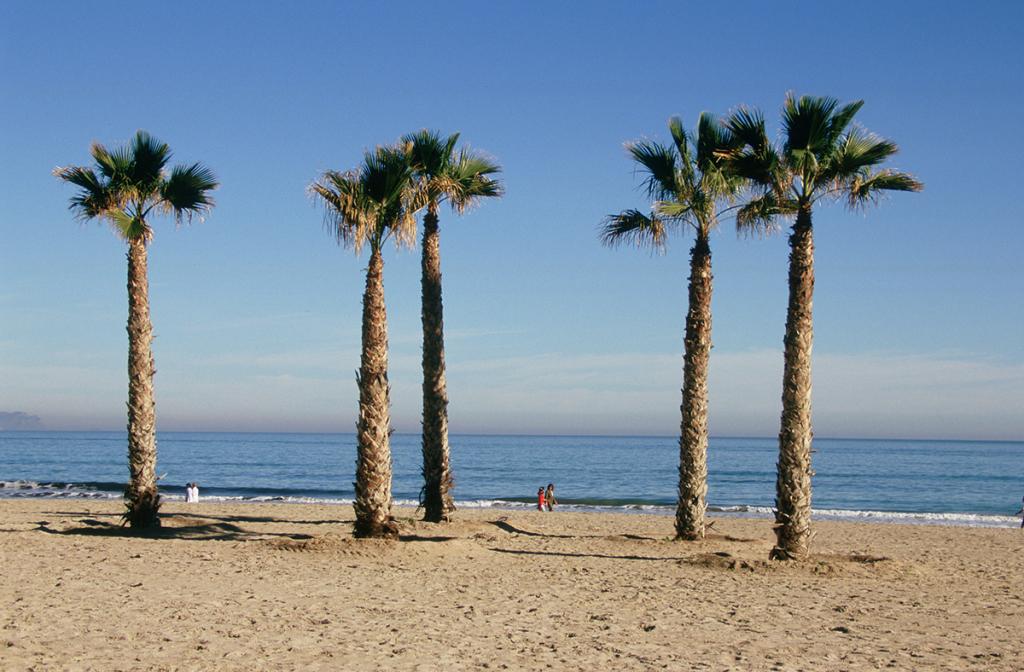 La ciudad de Alicante dispone de diferentes playas y calas. Foto: Ayuntamiento de Alicante.