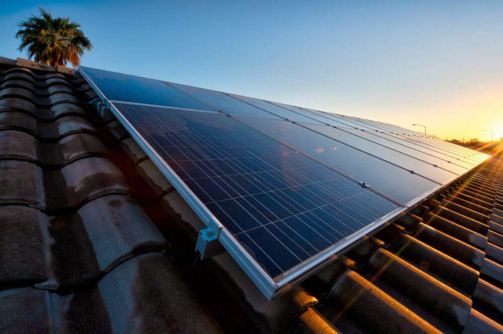 Paneles solares. Foto: Envato