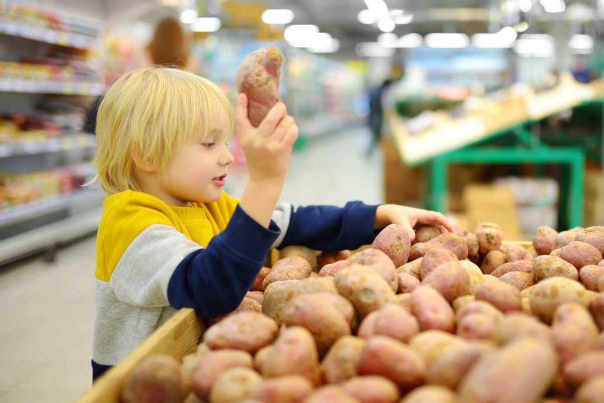Cadenas de supermercados lanzan promociones exclusivas para ayudar a familias numerosas a ahorrar en la cesta de la compra. Foto: Envato
