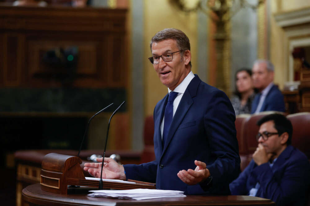 El presidente del PP, Alberto Núñez Feijóo, en el Congreso. EFE/Juan Carlos Hidalgo