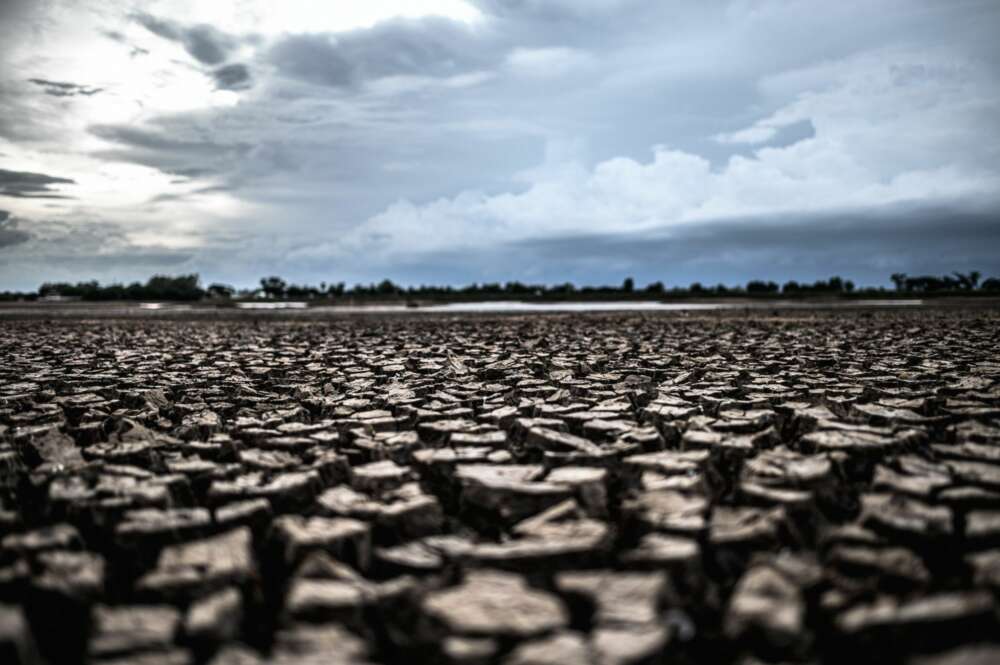 Descubre qué zonas estarán más afectadas por el cambio climático. Foto: Freepik.