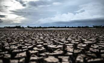 Descubre qué zonas estarán más afectadas por el cambio climático. Foto: Freepik.