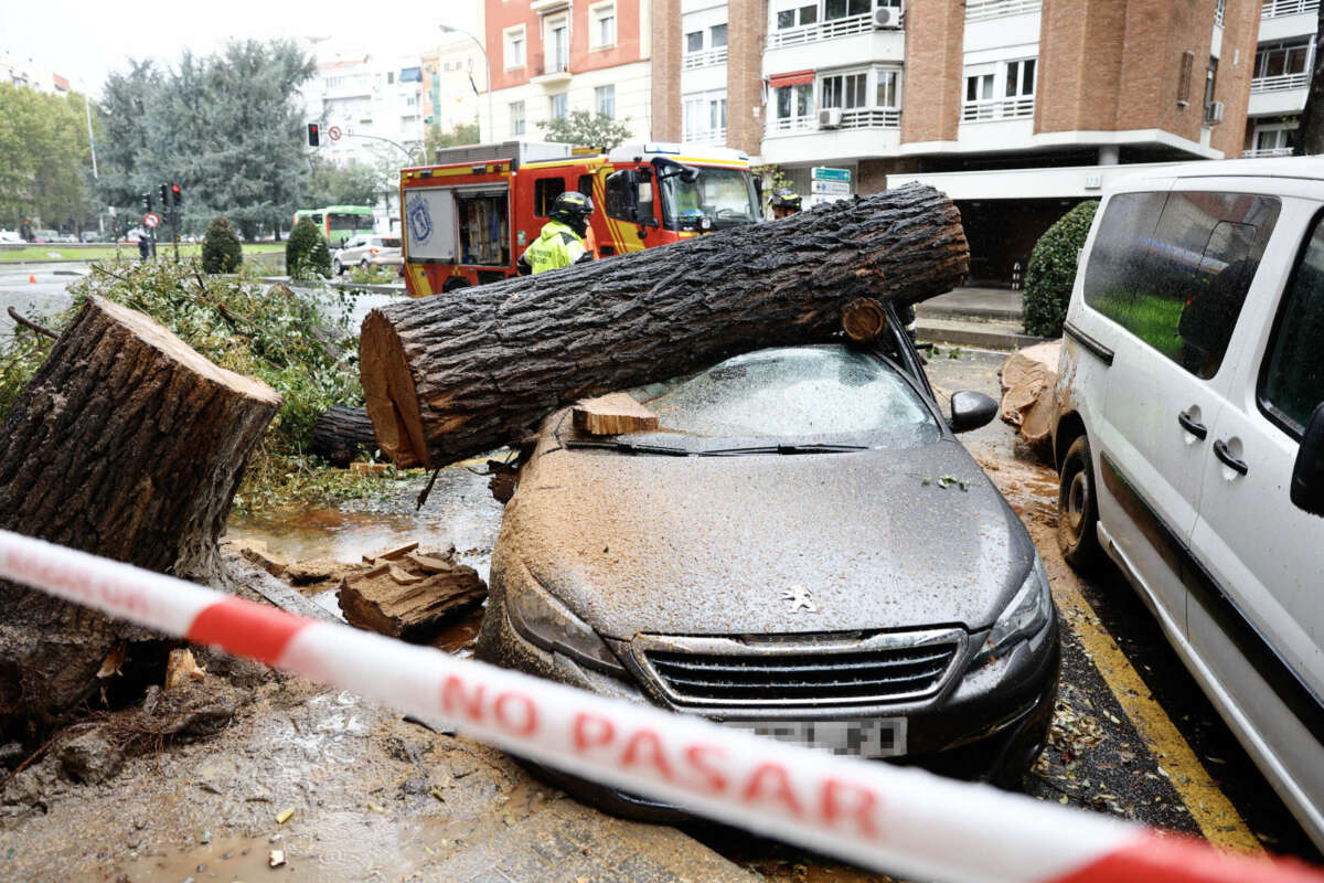 Un tronco de un árbol caído sobre un coche, efecto en Madrid del fuerte viento provocado por Ciarán. EFE/ Rodrigo Jiménez