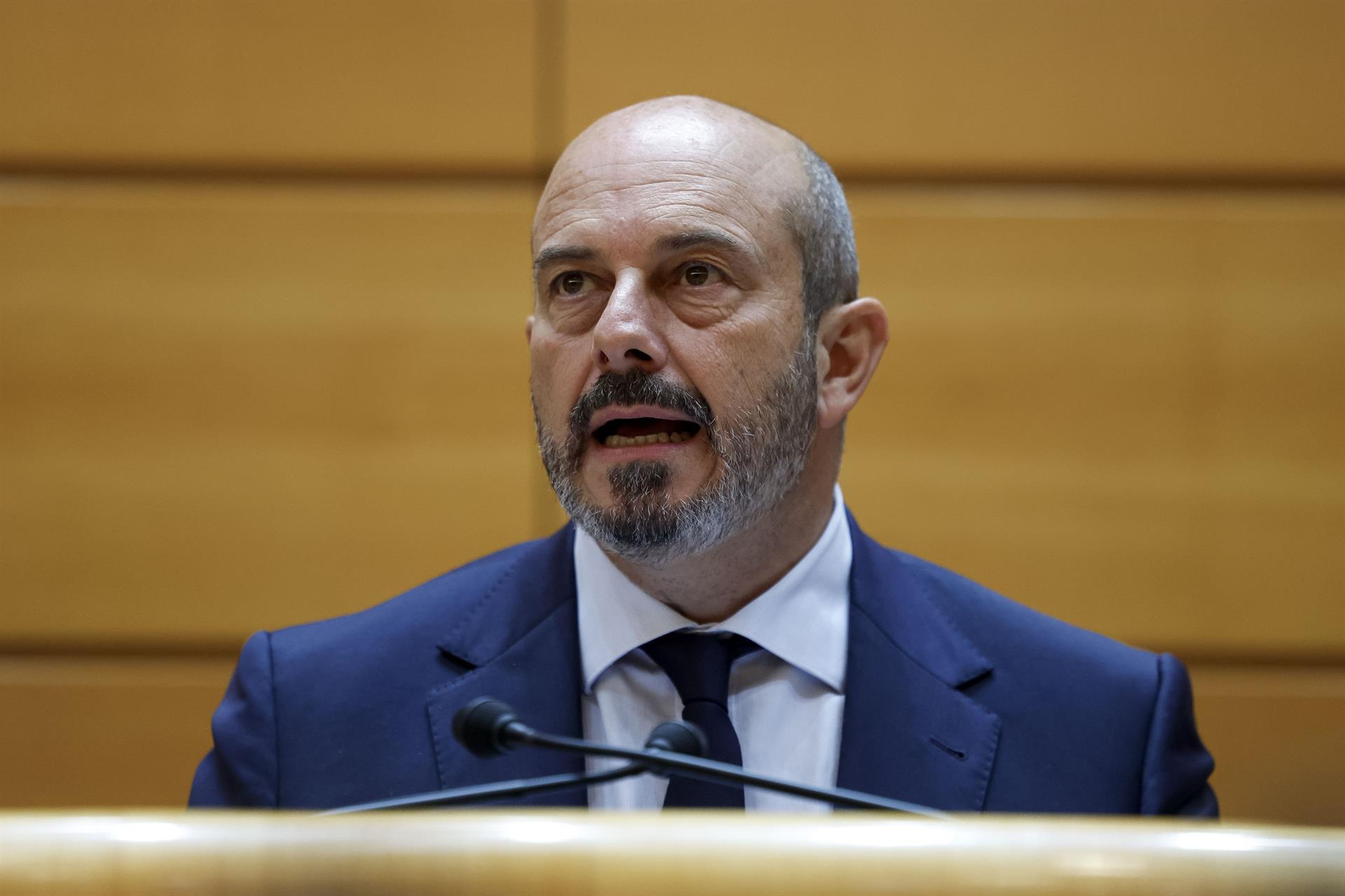 El presidente del Senado, Pedro Rollán. Foto Daniel González