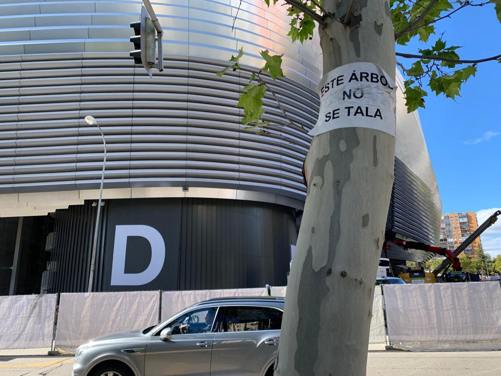 Árbol con un cartel contra la obra de los parkings en Padre Damián. @Alejandro_MDV Florentino Pérez