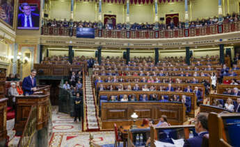 Congreso de los Diputados en Madrid. EFE/ Daniel González