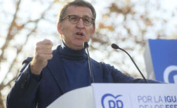 El presidente del PP, Alberto Núñez Feijóo. EFE/Fernando Alvarado