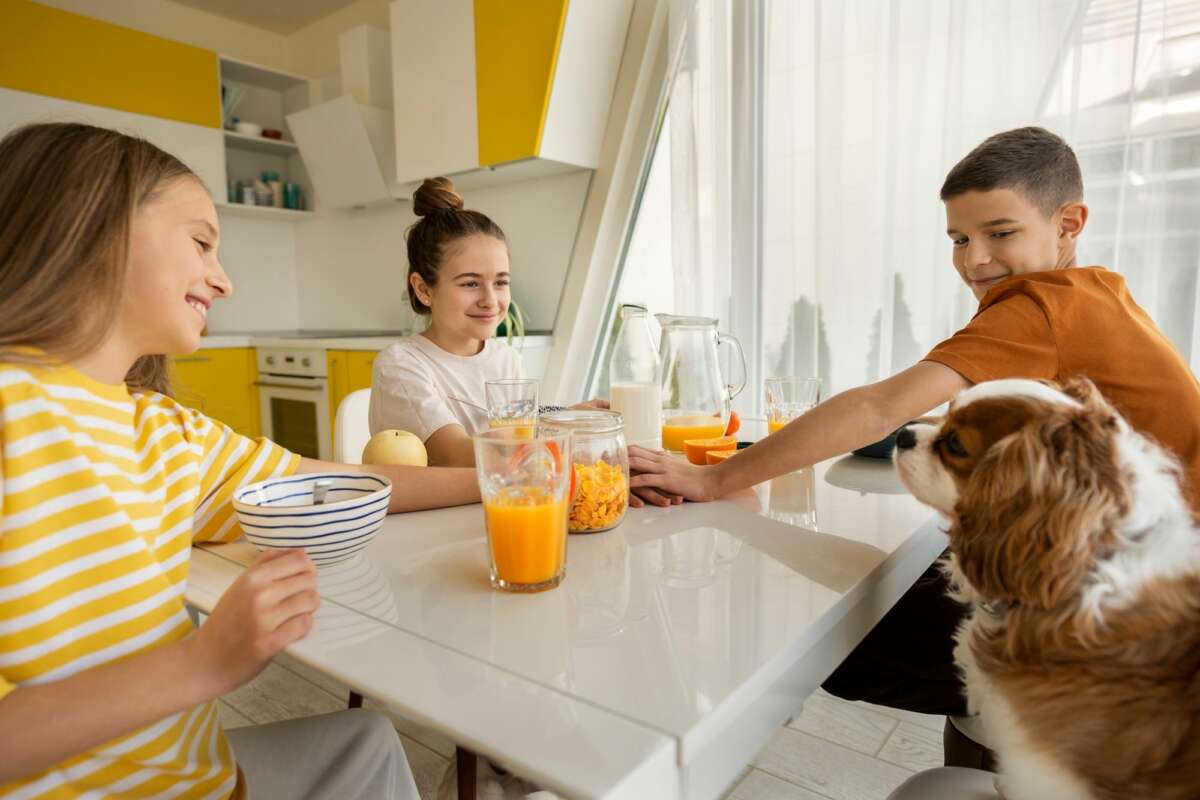 El consumo de zumo de frutas por parte de las familias se desploma un 9%. Foto: Freepik.
