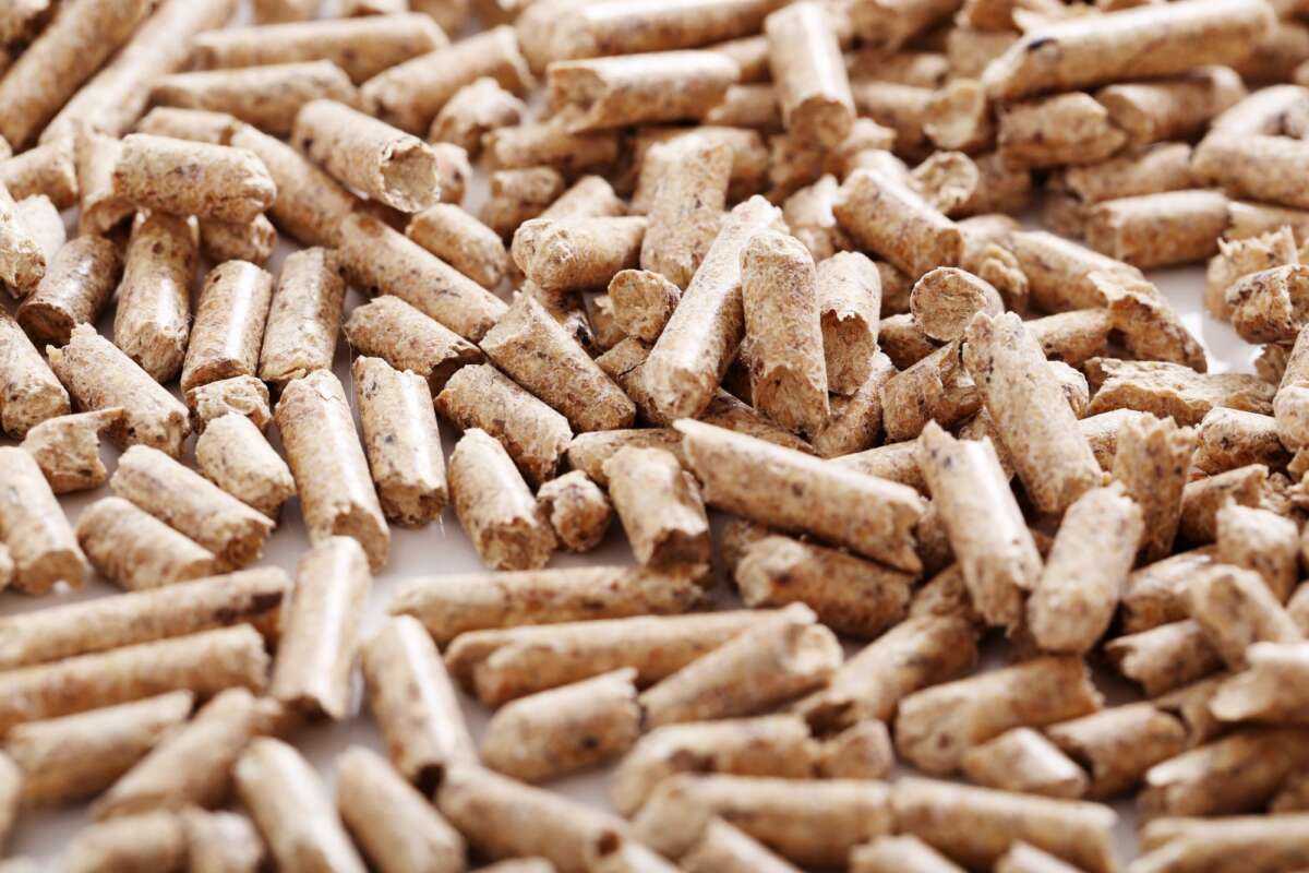 Las estufas de pellets aprovechan los residuos orgánicos de las podas o los huesos de aceitunas. calefacción. Foto: Freepik.