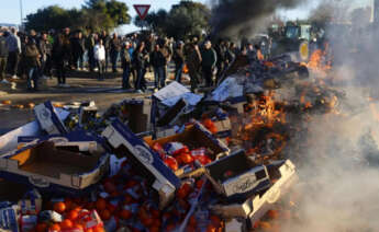 Agricultores franceses queman frutas españolas en una protesta. EFE/EPA/GUILLAUME HORCAJUELO