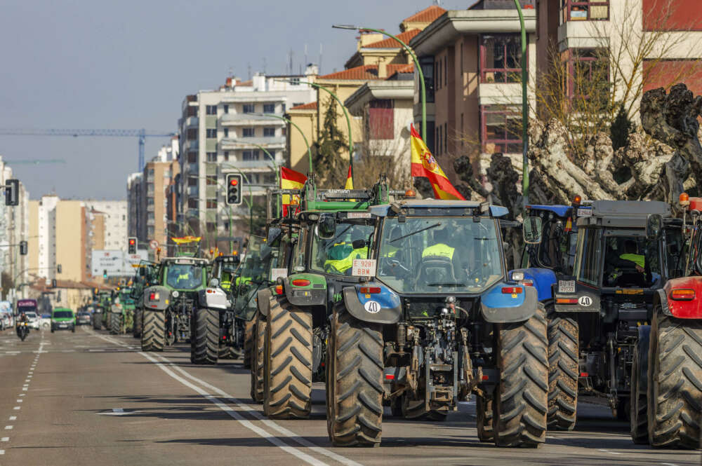 BURGOS (CASTILLA Y LEÓN), 06/02/2024.- Movilización del sector agrario en Burgos para protestar por la situación del campo. Las protestas de agricultores están siendo protagonizadas, en muchos puntos de España por productores independientes convocados por las redes sociales que han salido a las carreteras con sus tractores, lo que está provocando cortes de vías de Castilla-La Mancha, Castilla y León, Andalucía, Valencia, Aragón o Cataluña. EFE/Santi Otero