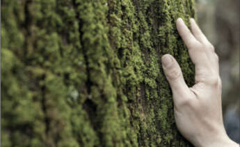 El Atlas de la Empresa Comprometida de Euskadi destaca a las empresas participantes por su gestión ambiental y su impacto positivo en el entorno