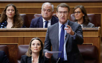 El presidente del PP, Alberto Núñez Feijóo. Foto: EFE.