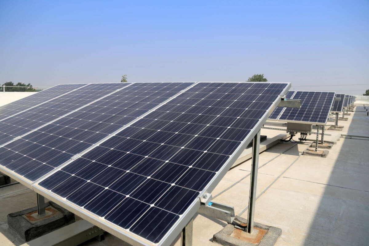 Placas fotovoltaicas. Imagen: Freepik. Telefónica.