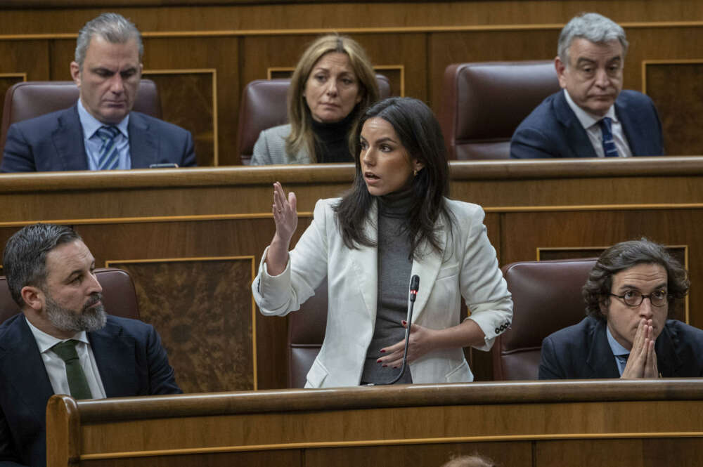 MADRID, 30/01/2024.- La diputada de Vox Pepa Millán interviene este martes del pleno del Congreso de los Diputados en Madrid que debate la ley de amnistía. EFE/ Daniel González