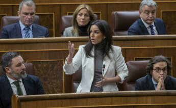 MADRID, 30/01/2024.- La diputada de Vox Pepa Millán interviene este martes del pleno del Congreso de los Diputados en Madrid que debate la ley de amnistía. EFE/ Daniel González