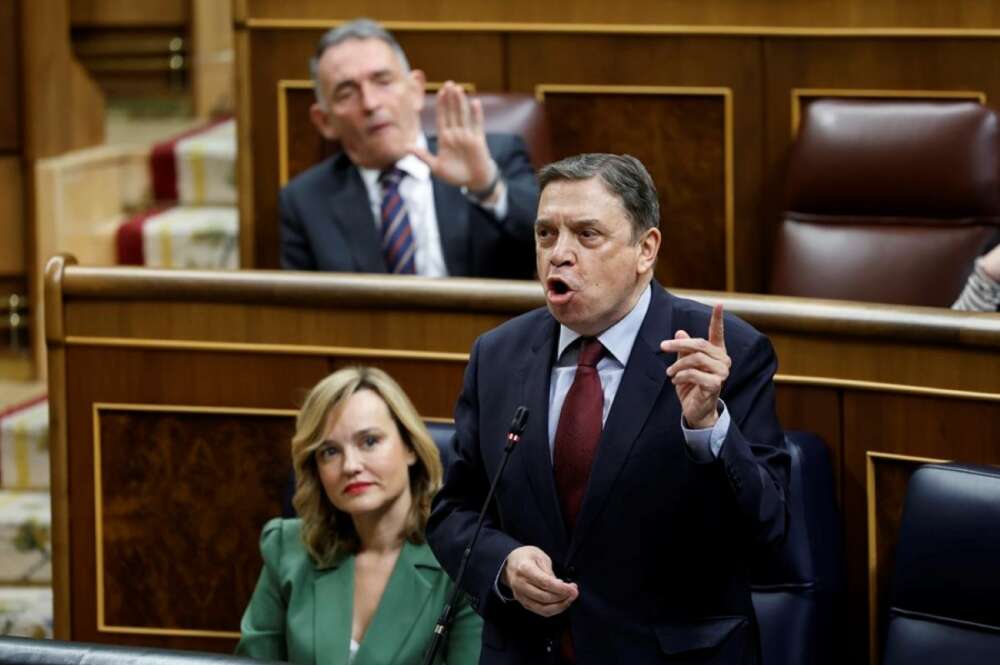 El ministro de Agricultura, Luis Planas, interviene en la sesión de control al Gobierno este miércoles en el Congreso EFE/Chema Moya