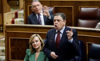 El ministro de Agricultura, Luis Planas, interviene en la sesión de control al Gobierno este miércoles en el Congreso EFE/Chema Moya